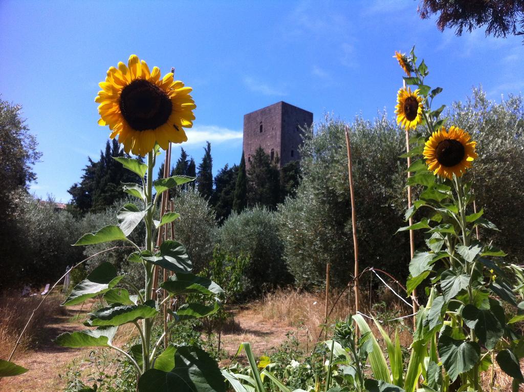 Torre Dei Belforti Montecatini Val di Cecina